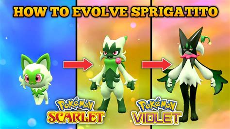 what does sprigatito evolve into|Sprigatito (Pokémon)